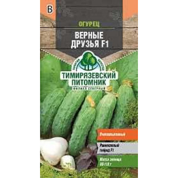Семена огурец "верные друзья f1" (для засолки) 10 шт (10) "тимирязевский питомник"